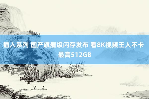 插入系列 国产旗舰级闪存发布 看8K视频王人不卡 最高512GB