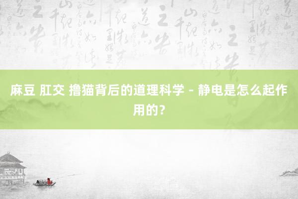 麻豆 肛交 撸猫背后的道理科学 - 静电是怎么起作用的？